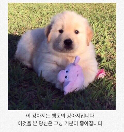 없음 이미지