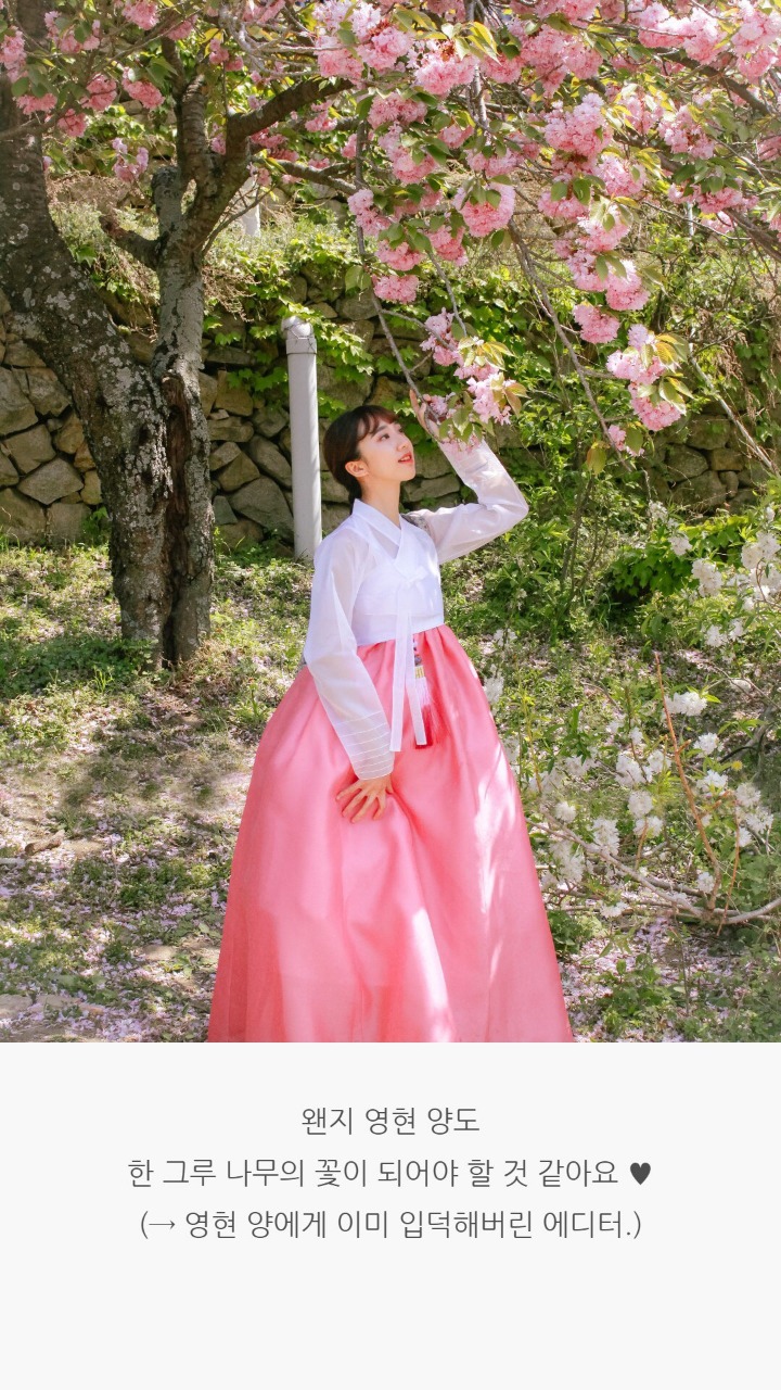 백팩에 한복만 챙겨서 여행을 다닌다는 대학생...jpg | 인스티즈