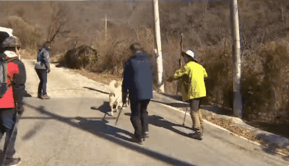자연과 모든 동식물을 사랑하시는 문재인 대통령 일화 | 인스티즈