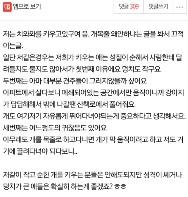 개 목줄 안하고 다니는 이유 | 인스티즈