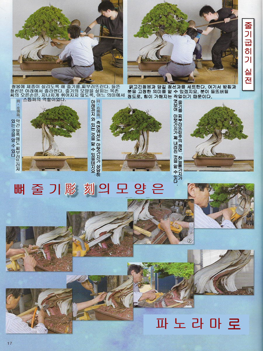 정언 이미지
