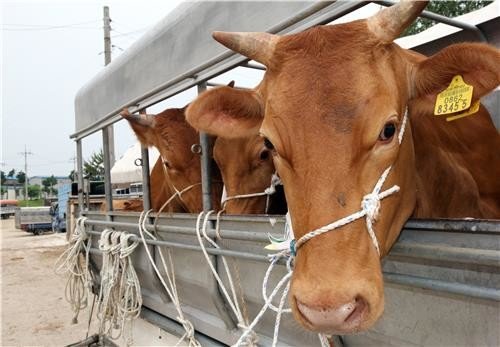 ㅋㅋㅋㅋㅋㅂ신들아 1등급 맞았다 | 인스티즈