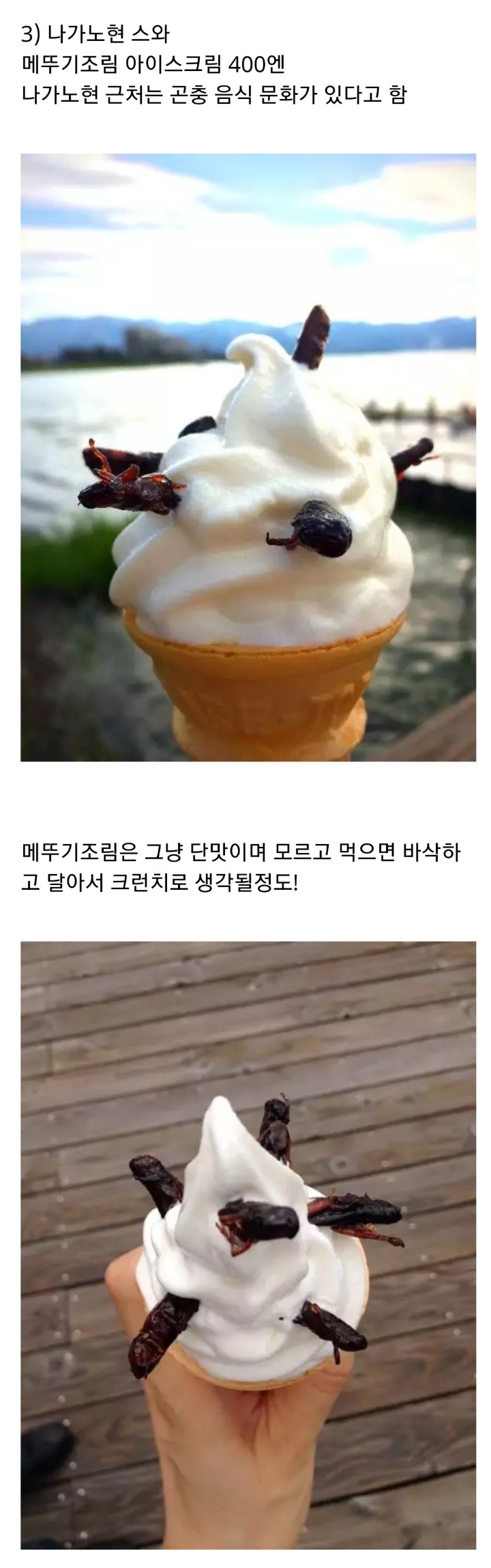일본 이색 아이스크림 | 인스티즈