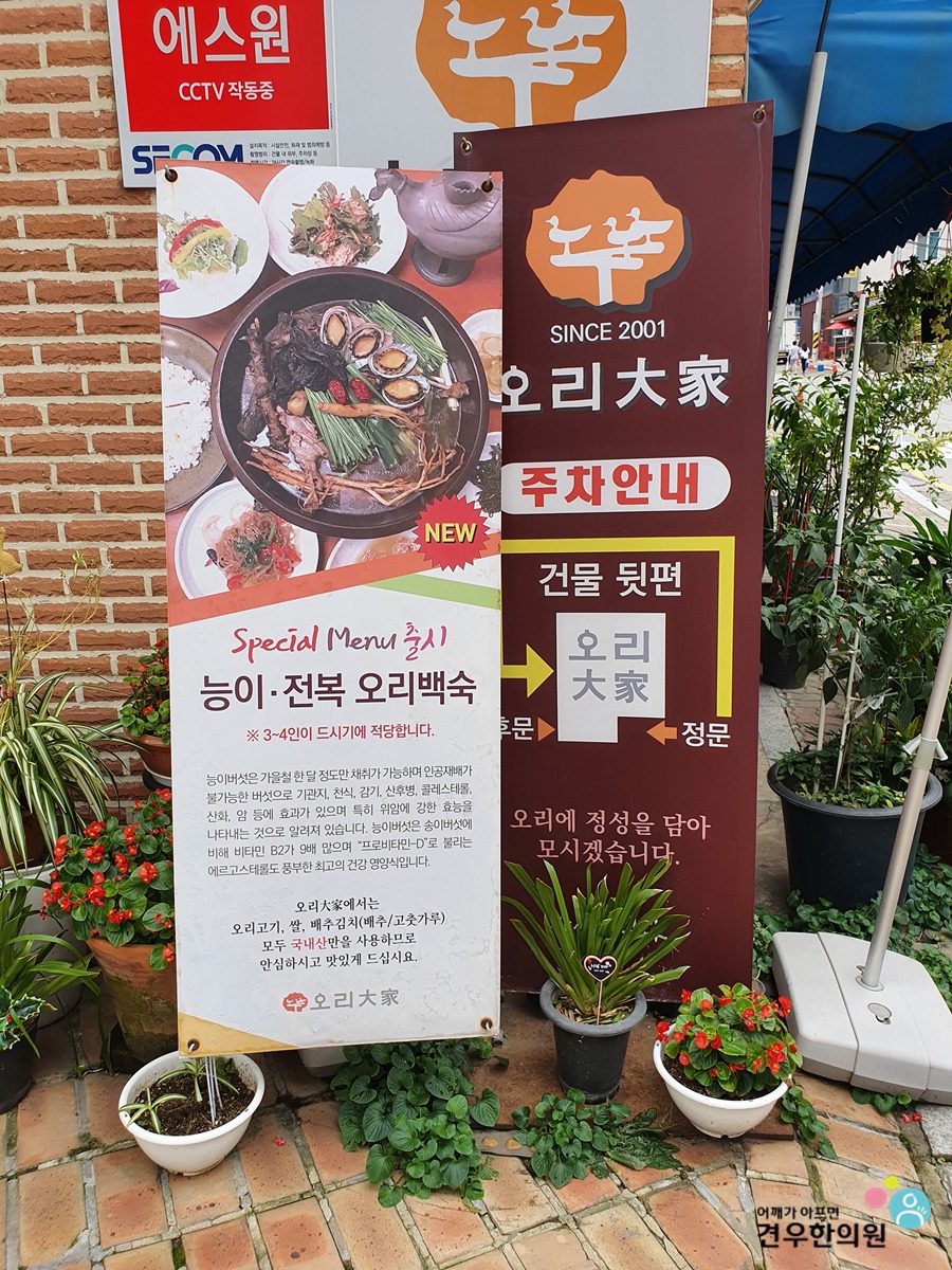 오리대가 이미지