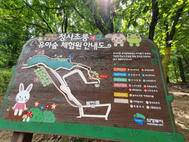 청사초롱 유아숲체험원 이미지