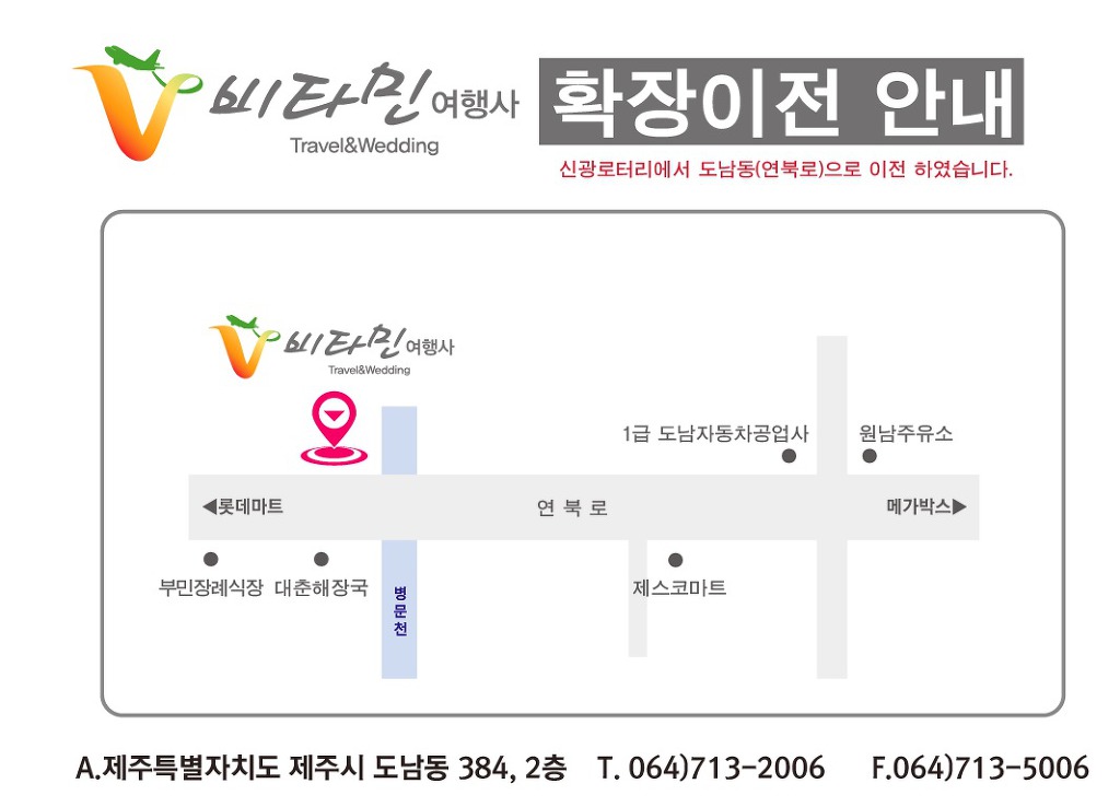 비타민여행사 이미지
