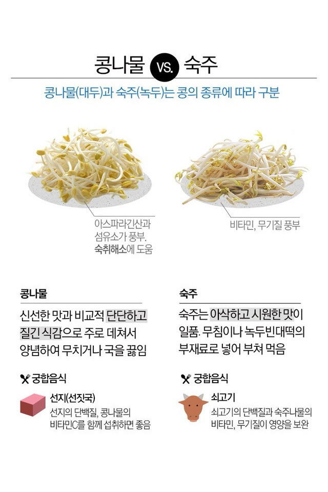파프리카와 피망의 차이 | 인스티즈