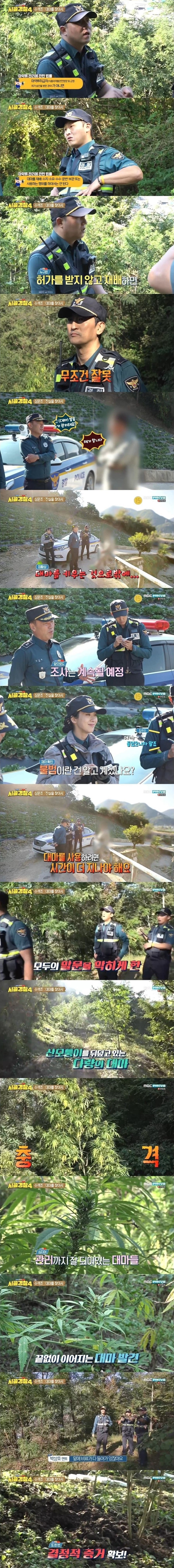 엄청난 규모의 대마 불법재배 현장을 수색하는 시골경찰 | 인스티즈