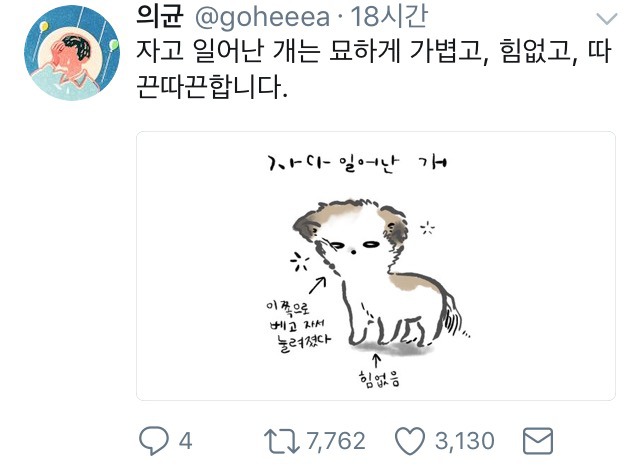 자다 일어난 개는.twt | 인스티즈