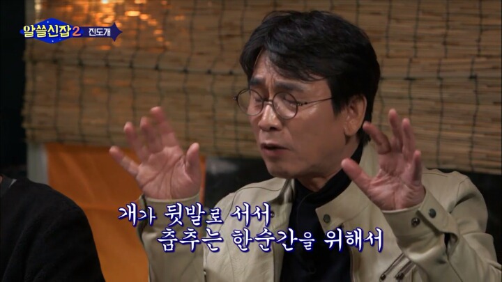알쓸신잡) 진도의 관광지 + 진도를 유시민이 추천하는 이유 (댕댕이 주의) | 인스티즈