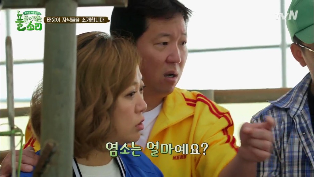 [풀뜯어먹는소리] 닭에서 시작해 소까지 살 수 있게 된 중딩농부 태웅.jpg | 인스티즈