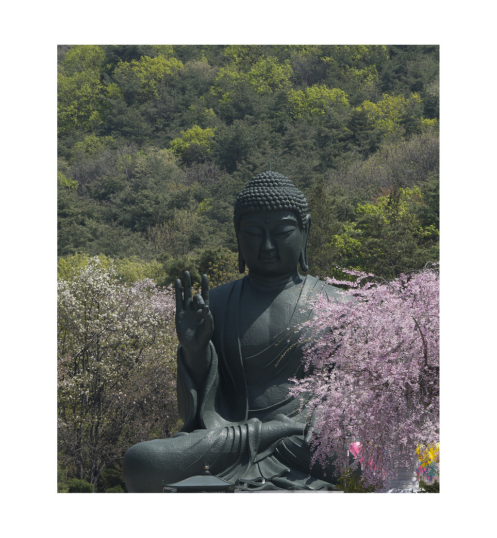 자비 이미지