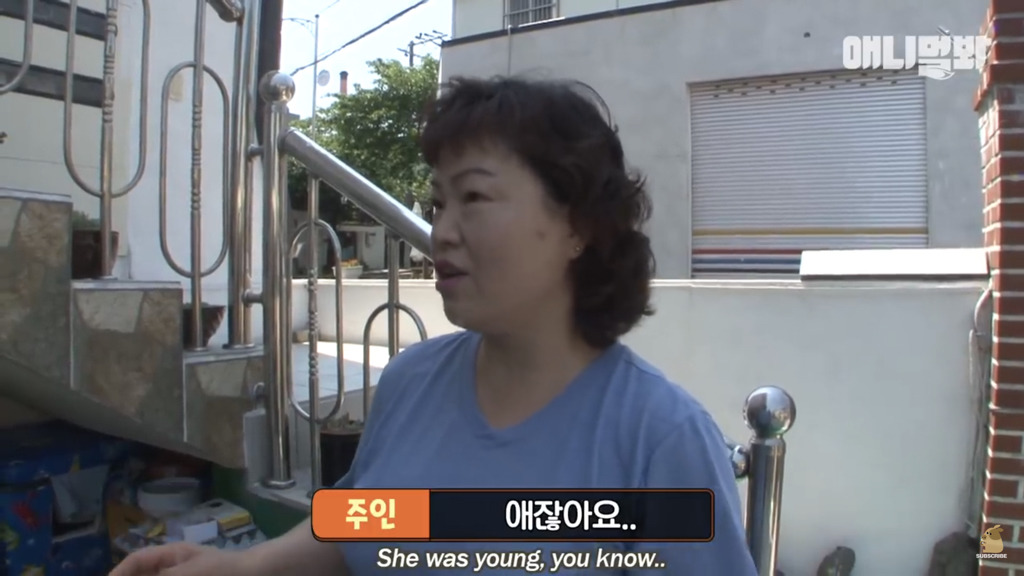 아기 고양이를 능숙하게 키우는 강아지의 사연은? | 인스티즈