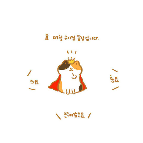은혜갚은 고양이 | 인스티즈