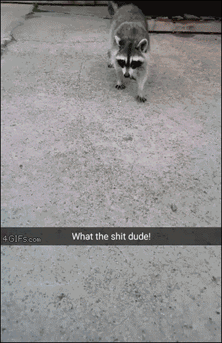 그건 너나 먹어.gif | 인스티즈