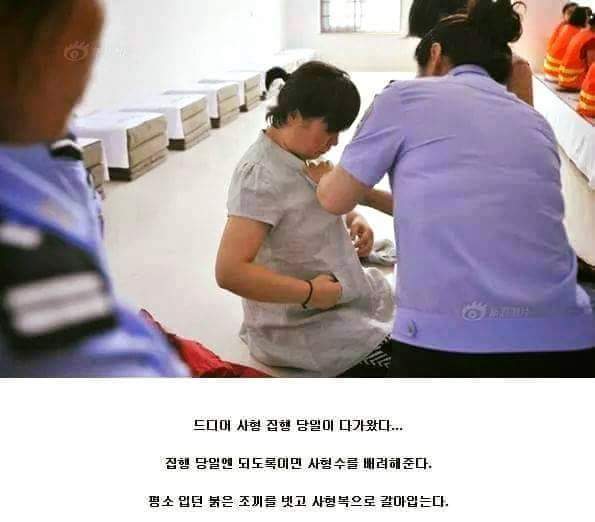 중국의 사형수 | 인스티즈