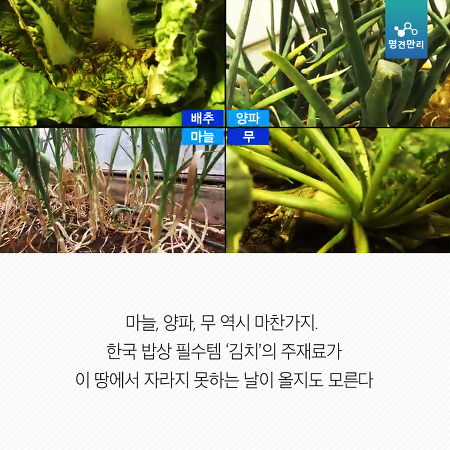 온난화가 그냥 더워지는 것만 문제가 아님. 밥이랑 과일 같은게 없어짐.jpg | 인스티즈