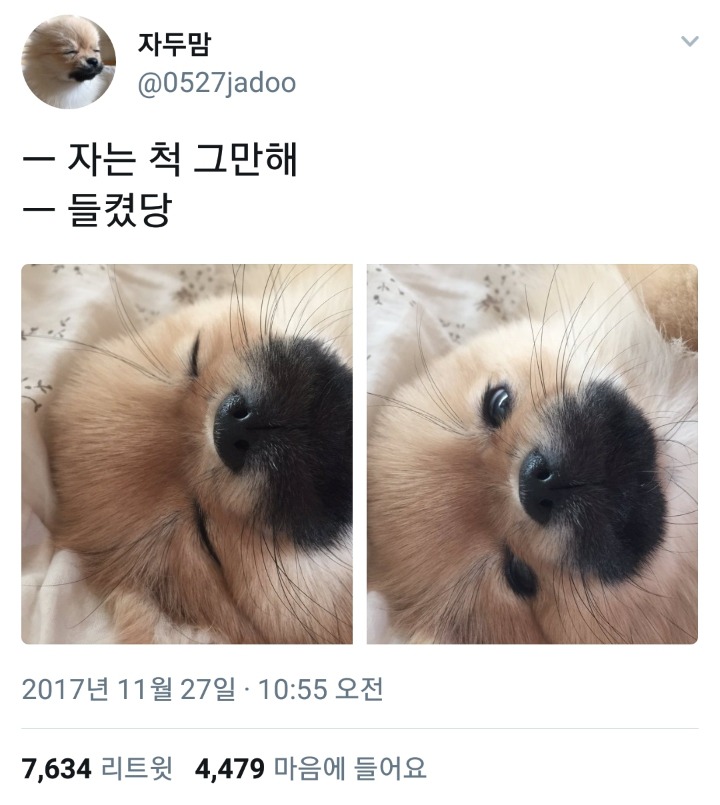 자는 척 그만해 | 인스티즈