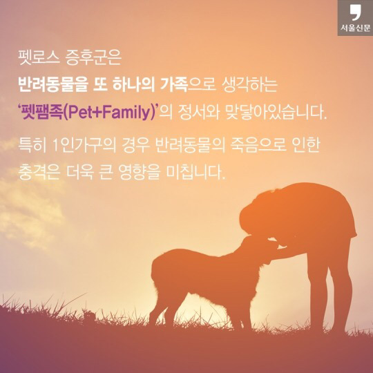처음 반려동물 키우기 시작했을 때 너무 좋고 예뻐서 생각하지 못하는 것.jpg | 인스티즈