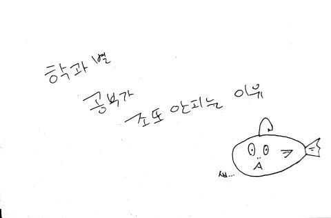 학과별 공부가 안되는 이유 | 인스티즈