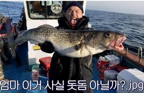 젊은어부 이미지