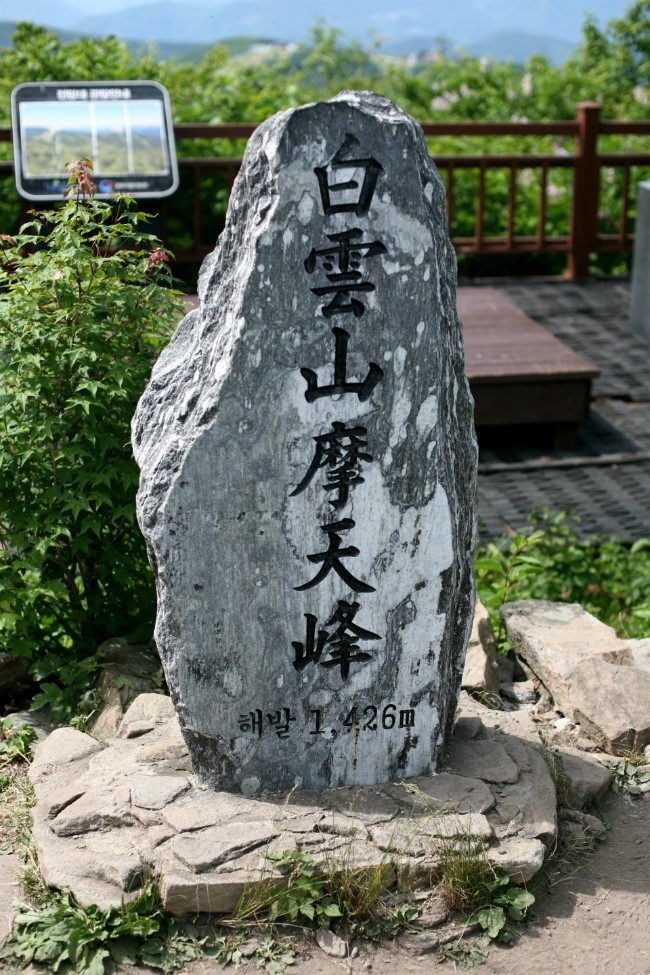 데이지화원 이미지
