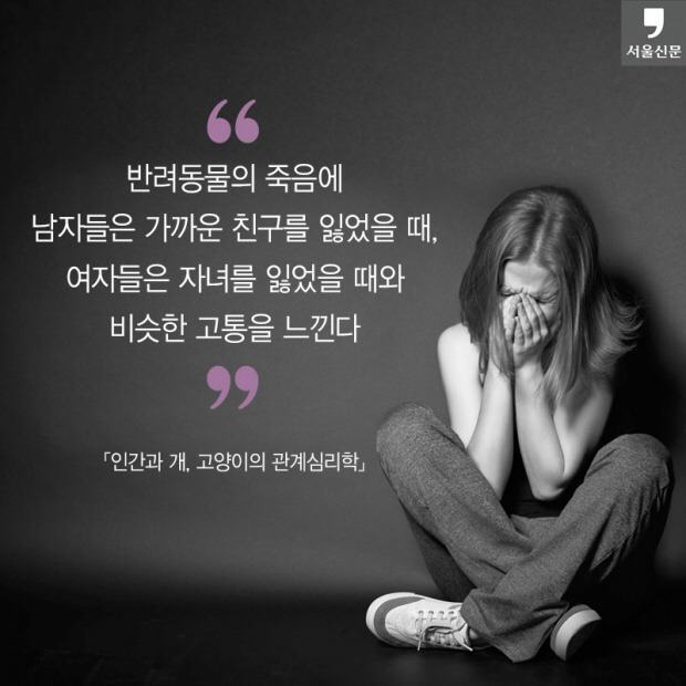 처음 반려동물 만났을때 너무 좋고 예뻐서 전혀 생각하지 못하는 것.jpg | 인스티즈