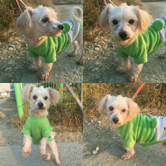 엘제이에이치 이미지