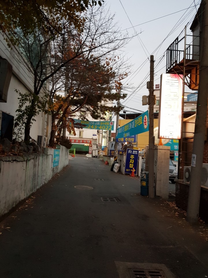 광장복어 이미지