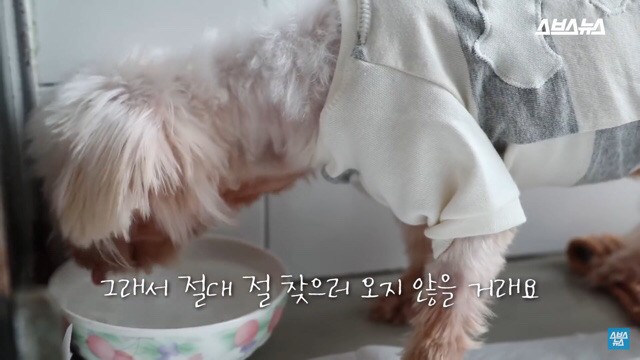  사람들이 홍대에서 인형을 뽑다 우는 이유는? | 인스티즈