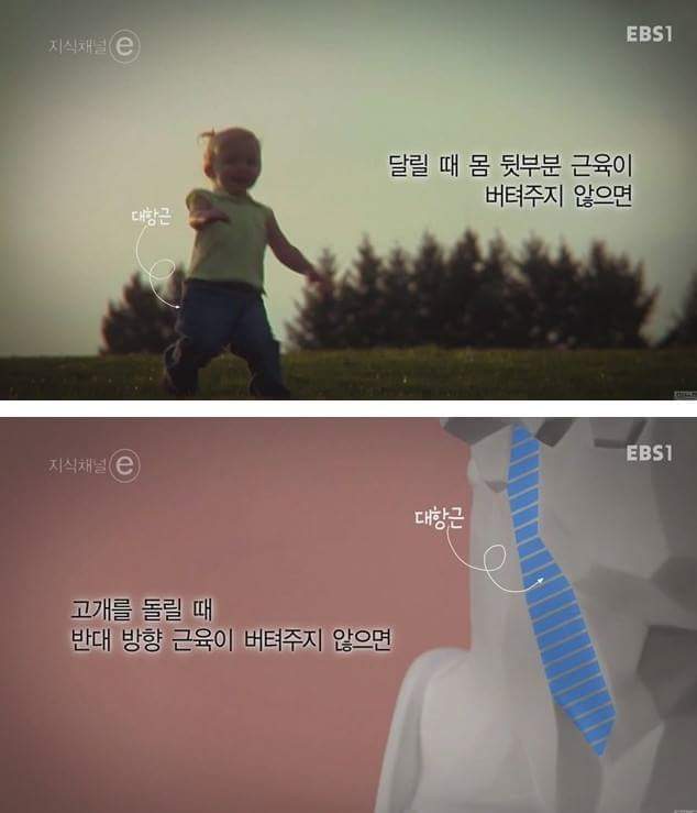 우리의 근육이 바쁜 이유 | 인스티즈