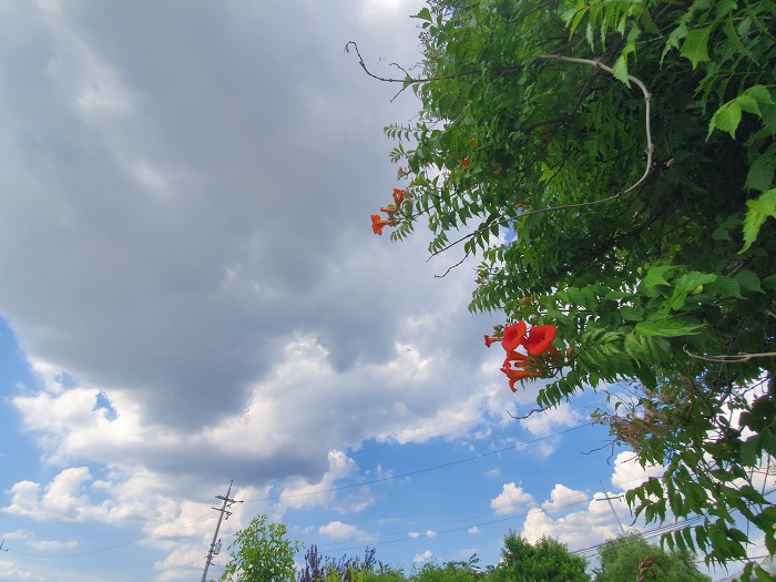 9983C7385D27041D06B39E