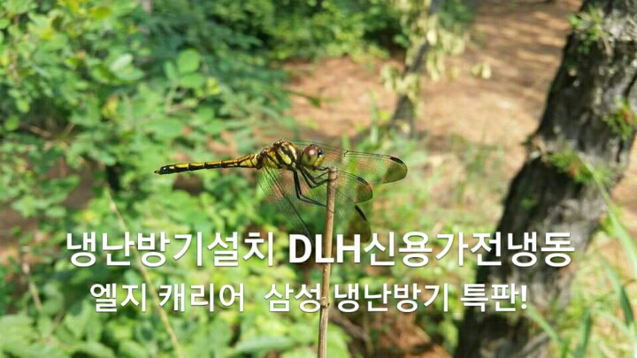 에어컨태영 이미지
