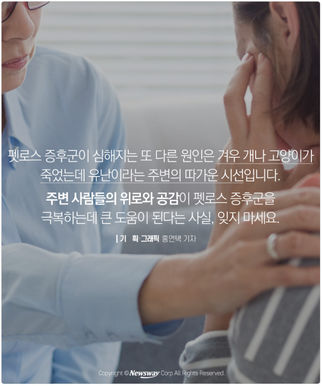 처음 반려동물 만났을때 너무 좋고 예뻐서 전혀 생각하지 못하는 것.jpg | 인스티즈