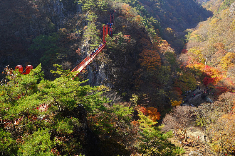 금마수산 이미지