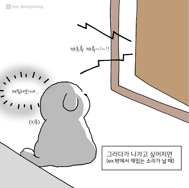 강아지가 주인 지키는 방법.jpg | 인스티즈