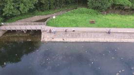 추락하는 드론을 본 주인.gif | 인스티즈