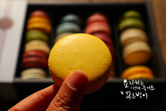 마리웨일237 이미지