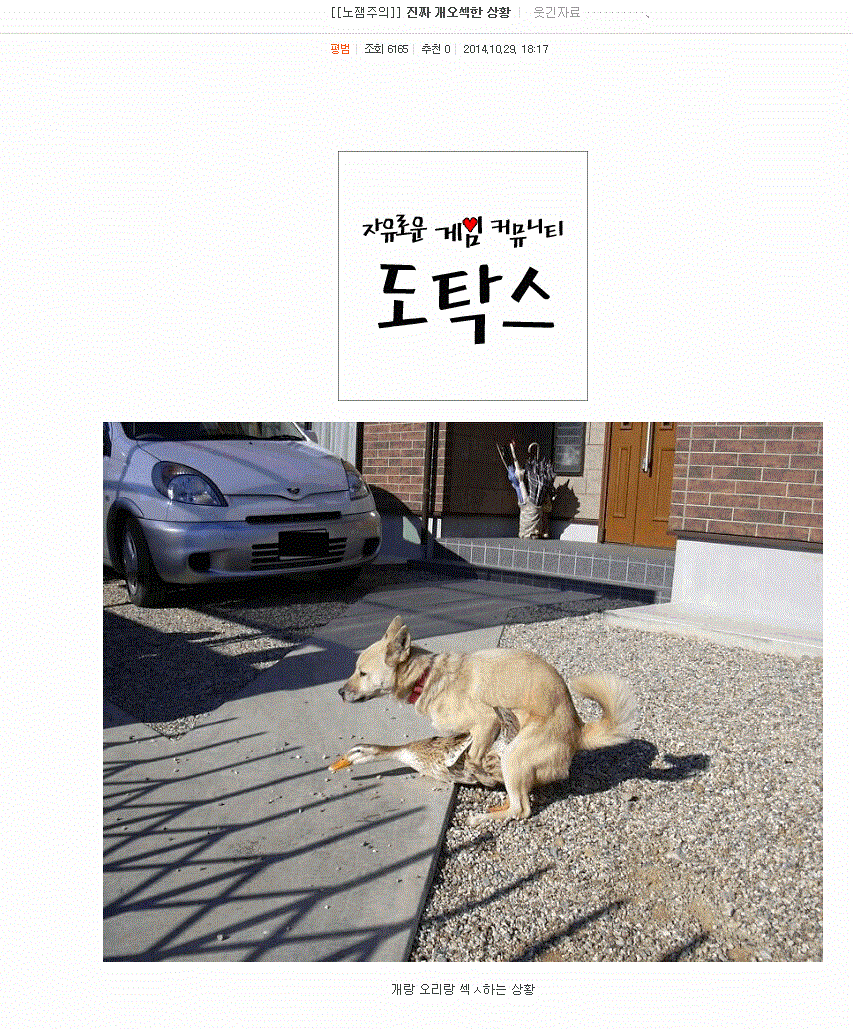 단톡방 없는 조직은 있어도 | 인스티즈