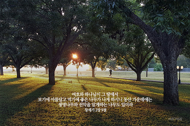 에덴동산 이미지