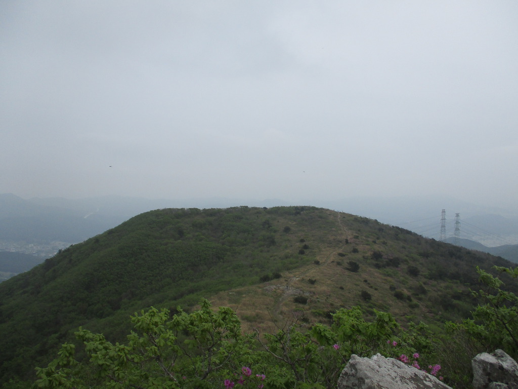삼거리다방 이미지