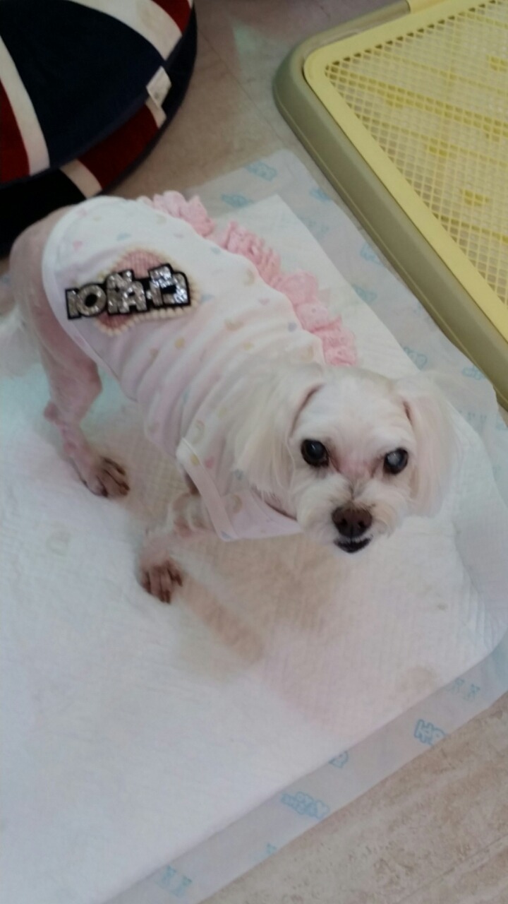 어느봄날펜션 이미지