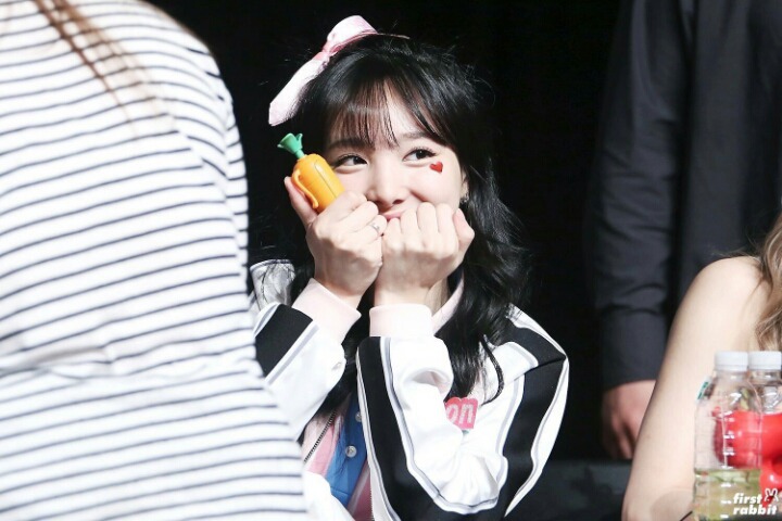 트와이스 팬들의 최대 난제.......jpgif | 인스티즈