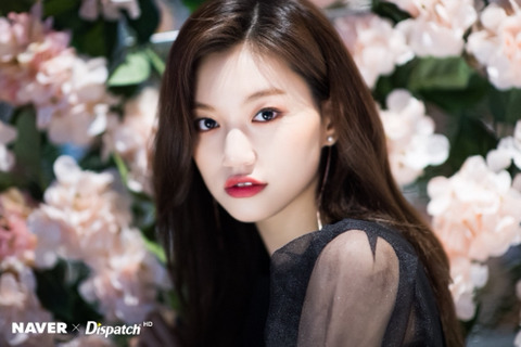 다도연 이미지