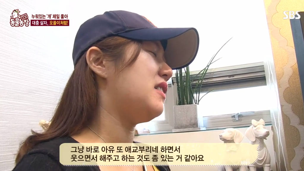 [동물농장] 누워있길 좋아하는 강아지 오쏠이 | 인스티즈