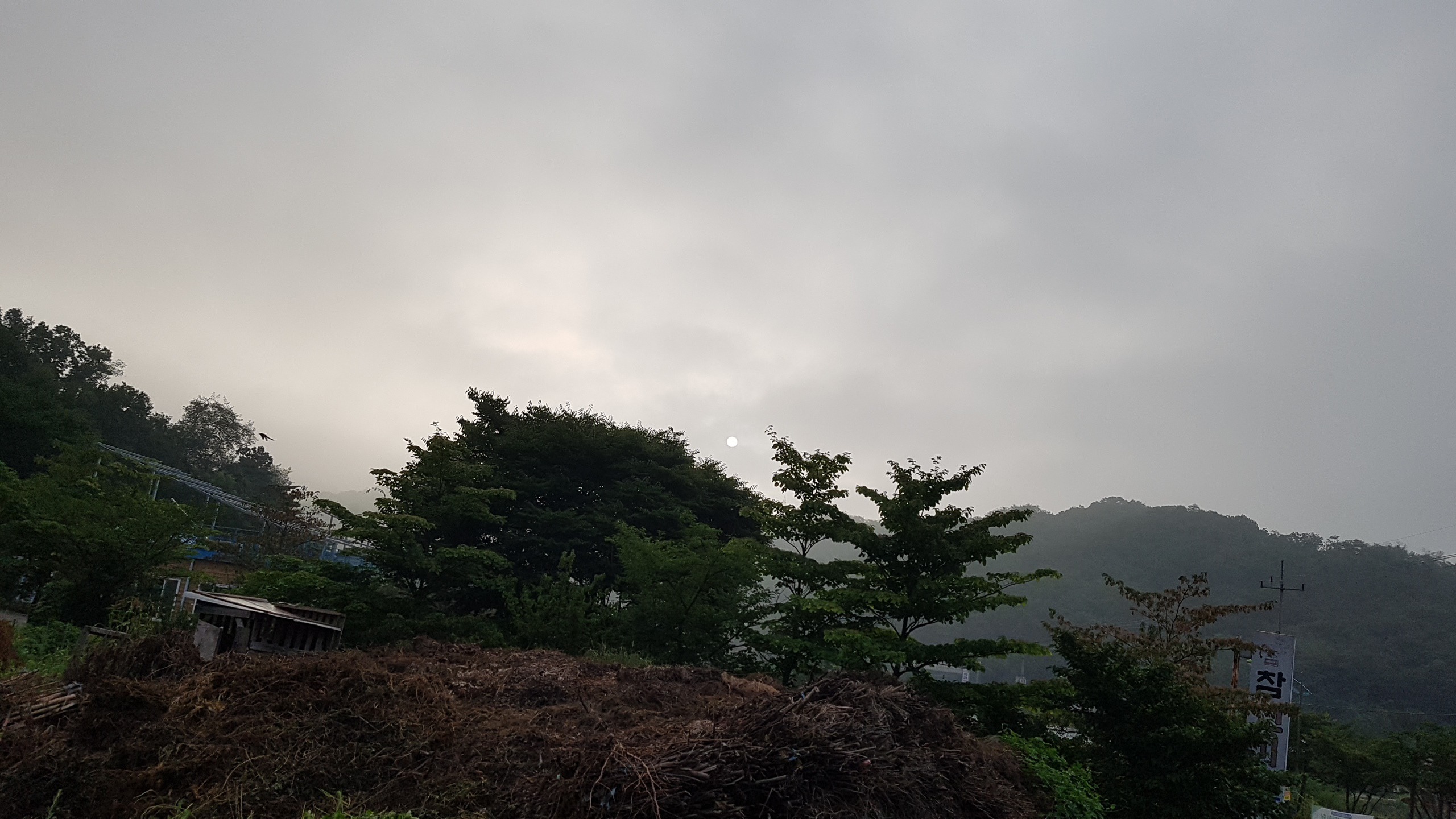 산보 이미지