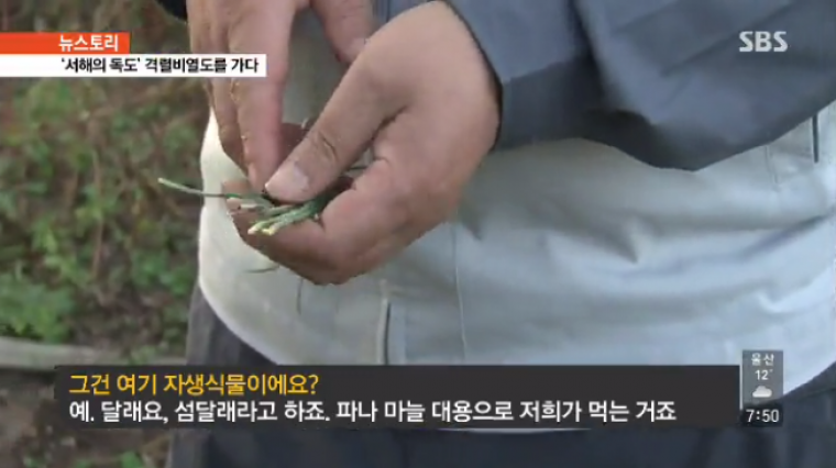 우리나라 진짜 무인도 등대지기 생활 | 인스티즈