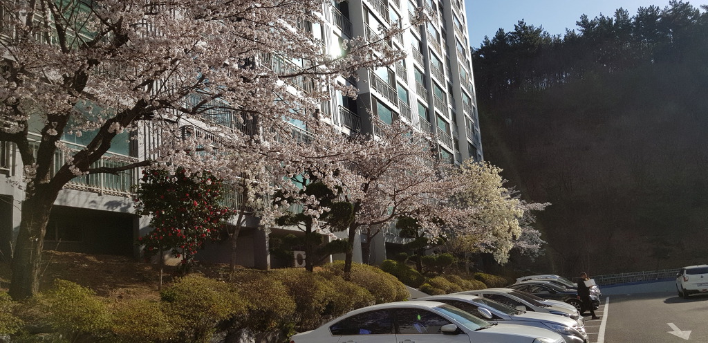 동산장 이미지