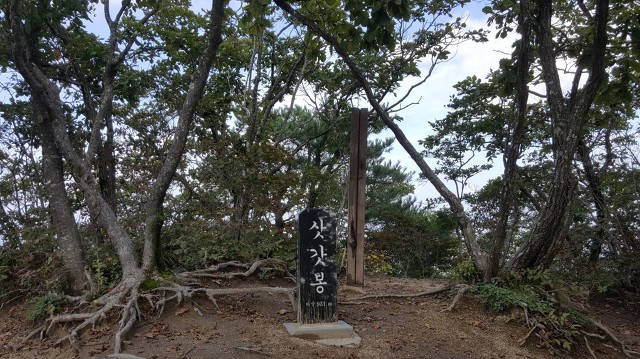 팔공산 조망 이미지