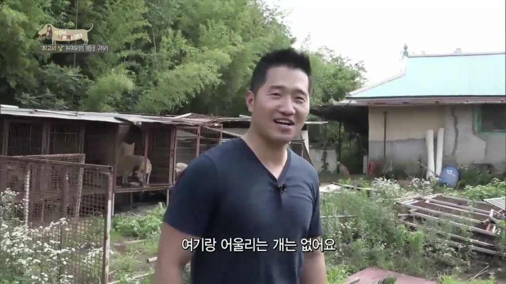 어떻게 사람을 그렇게 좋아할 수 있죠? | 인스티즈